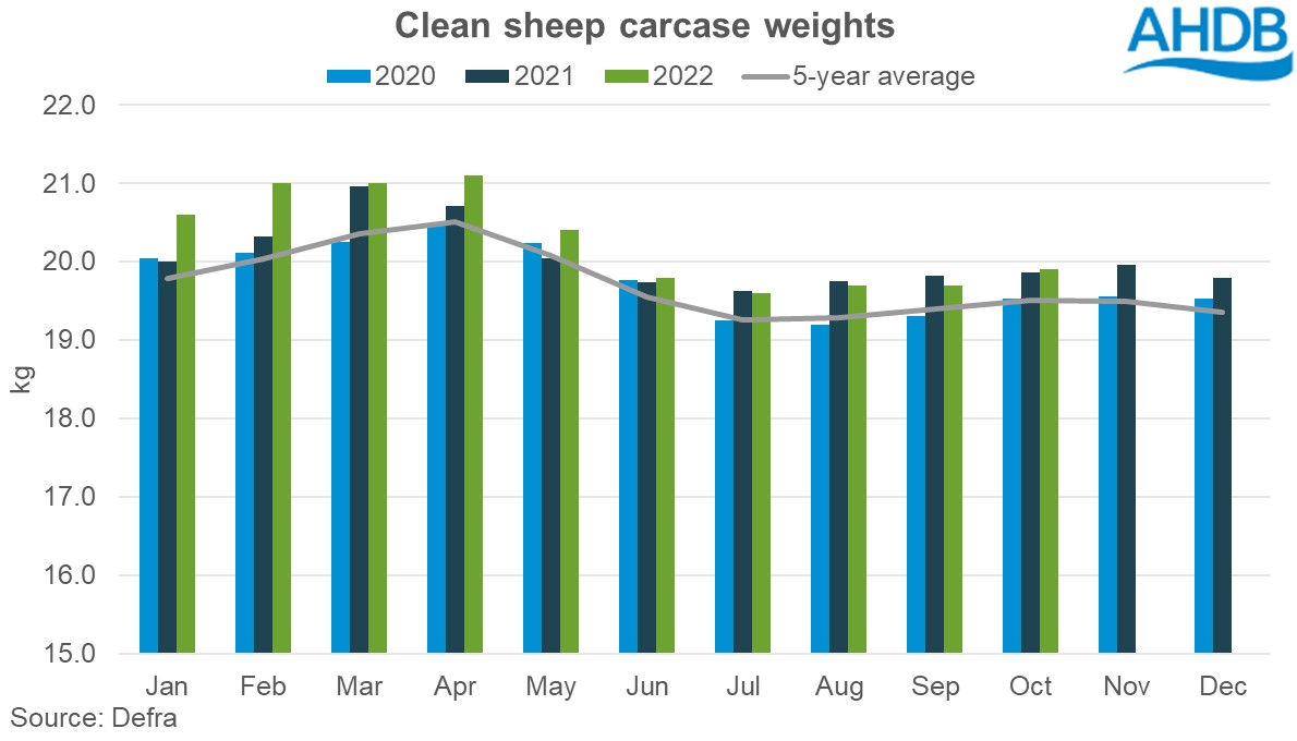Graph of clean sheep carcase weights 2020-2022